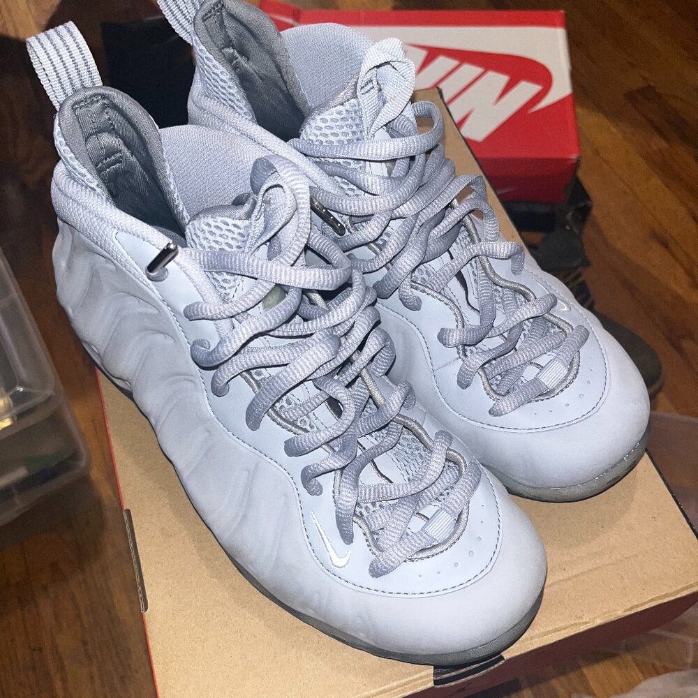 Nike Air Foamposite One Gray
